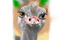 Herbert の ダチョウ の絵
