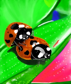ヴィクトル の てんとう虫 の絵