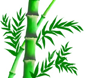 Eh の 竹 の絵
