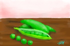 Рисунок на тему «Горох» — автор: Abbie
