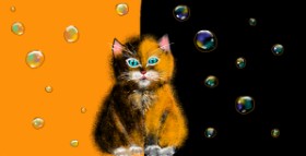 Рисунок на тему «Котенок» — автор: Eclat de Lune