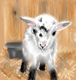 Drawing of Goat by ⋆su⋆vinci彡
