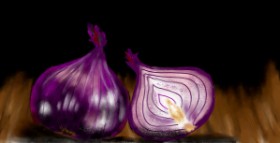 Drawing of Onion by Eclat de Lune
