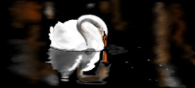 Çhåching の 白鳥 の絵