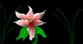 Draw の ユリの花 の絵