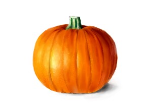 Drawing of Pumpkin by 𝐋𝐢𝐚