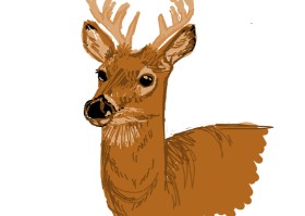 Shayway の 鹿 の絵