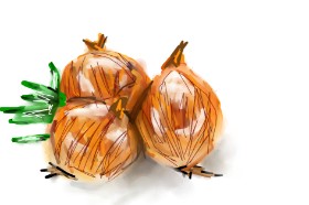 Drawing of Onion by Mia