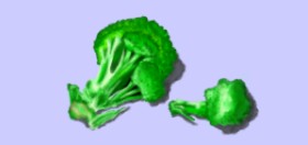archeo (imbackyo) の ブロッコリー の絵