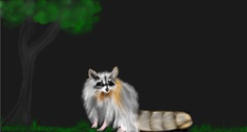 Çhåching の アライグマ の絵