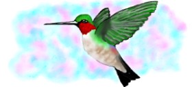 Debidolittle の ハチドリ の絵