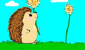 Drawing of Hedgehog by cottoncloud7