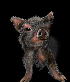 Drawing of Pig by Leah