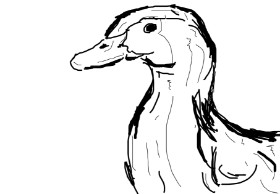 Flintlock pistol の アヒル の絵