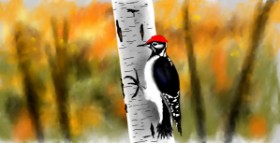 Drawing of Woodpecker by Eclat de Lune