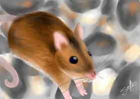 Рисунок на тему «Мышь» — автор: Sophie_draw24