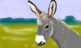 Tim の ロバ の絵