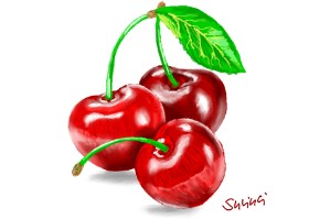 ⋆su⋆vinci彡 の さくらんぼ の絵