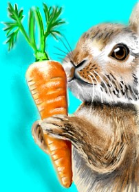 Drawing of Carrot by ⋆su⋆vinci彡
