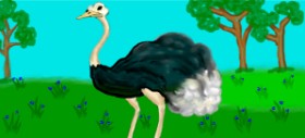 Debidolittle の ダチョウ の絵