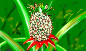 Рисунок на тему «Ананас» — автор: Flowerpot