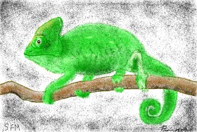 Рисунок на тему «Хамелеон» — автор: Banana
