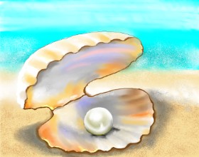 Cec の 貝殻 の絵
