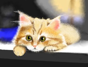 Рисунок на тему «Котенок» — автор: Lucio