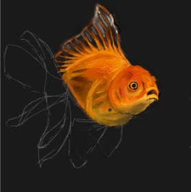 Andromeda の 金魚 の絵