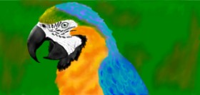 Temüjin の 鳥 の絵