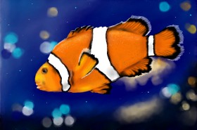 Рисунок на тему «Clownfish» — автор: RadiouChka🍉