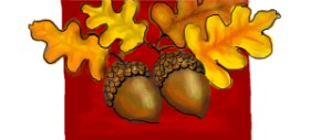 Drawing of Acorn by DebbyLee