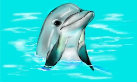 Tim の イルカ の絵