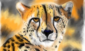 Herbert の チーター の絵