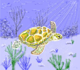 Geo-Pebbles の ウミガメ の絵