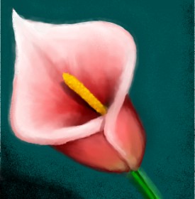 🌌Mom💕E🌌 の ユリの花 の絵