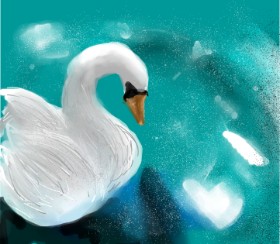 Drawing of Swan by Michi 
