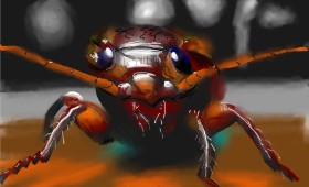 Herbert の ゴキブリ の絵