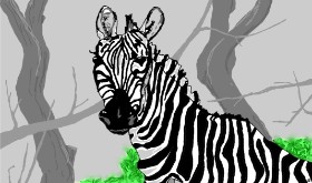 Zebra-Zeichnung von Flowerpot