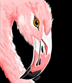 GreyhoundMama の フラミンゴ の絵
