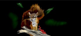 Drawing of Squirrel by Çhåching