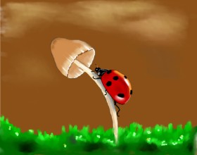Cec の てんとう虫 の絵