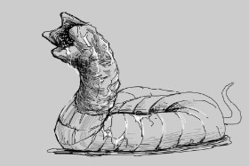 Bananahater の 虫 の絵