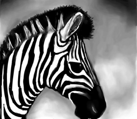 Zebra-Zeichnung von Emit
