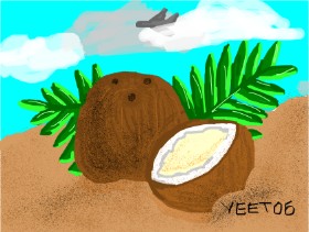Yeet06 の ココナッツ の絵