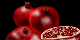 Drawing of Pomegranate by Eclat de Lune