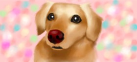 Drawing of Dog by Luna