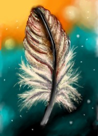 Drawing of Feather by ⋆su⋆vinci彡
