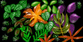 Eclat de Lune の 葉 の絵