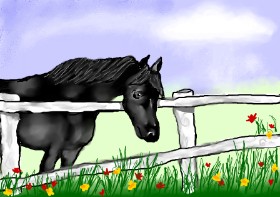 Konj - autor: Debidolittle